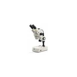 Microscopio estereoscopico triocular led Motic